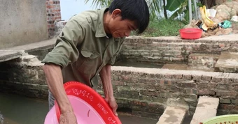 Nông dân Hải Phòng thu 25 tỷ/năm nhờ nuôi loài vật bò "nhung nhúc" dày đặc, kéo cả du khách đến vớt