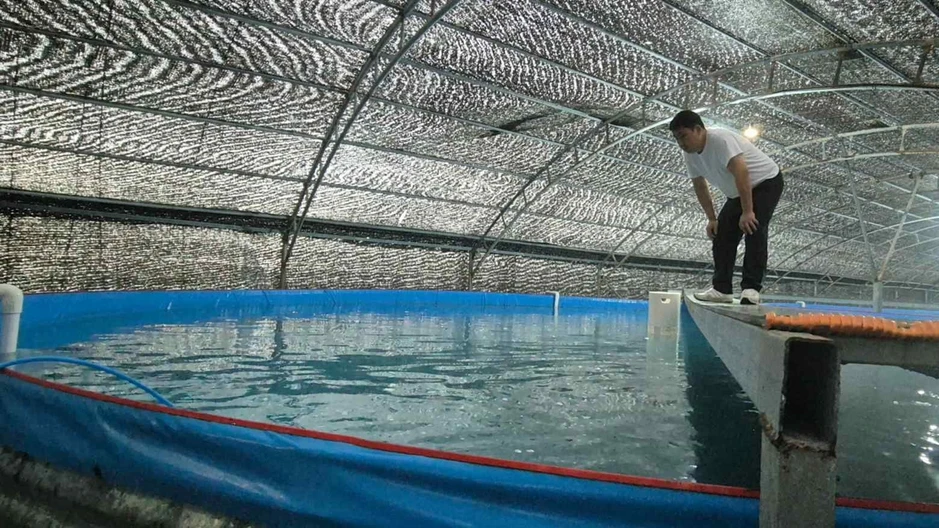 Nuôi cá thu ngay trên đất liền: "Siêu công nghệ" từ ông lớn chăn nuôi Việt Nam và liên minh Nhật - Hàn Nuôi cá thu ngay trên đất liền: "Siêu công nghệ" từ ông lớn chăn nuôi Việt Nam và liên minh Nhật - Hàn