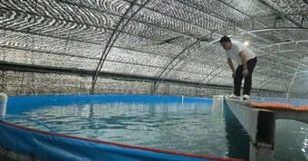 Nuôi cá thu ngay trên đất liền: "Siêu công nghệ" từ ông lớn chăn nuôi Việt Nam và liên minh Nhật - Hàn