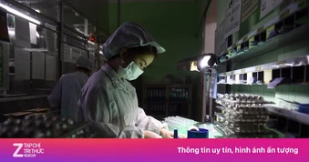 Rõ kế hoạch phát triển kinh tế có vốn đầu tư nước ngoài tại Việt Nam