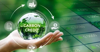 Sàn carbon sau gần 2 tháng vận hành đang ra sao?