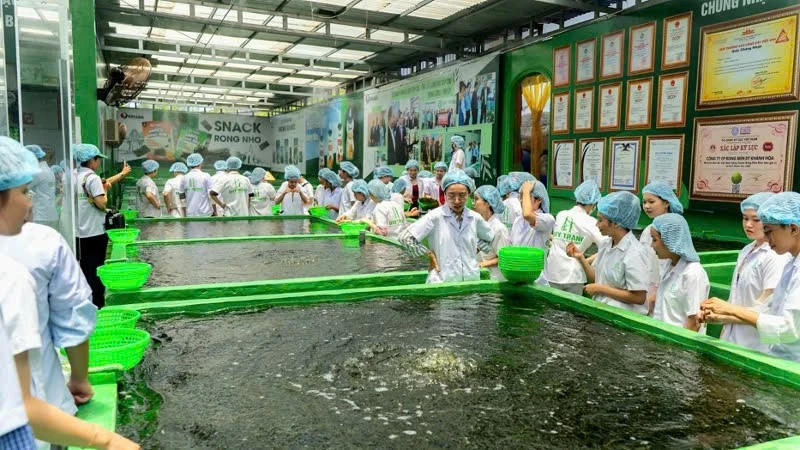 Sản xuất thông minh: Động lực mới hiện thực hóa Nghị quyết 57 trong ngành Công thương