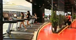 Sau làn sóng ồ ạt đóng cửa, nhiều phòng gym còn lộ khoản nợ thuế tiền tỷ