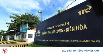 Thành Thành Công - Biên Hòa bị phạt 175 triệu đồng vì công bố thông tin sai lệch