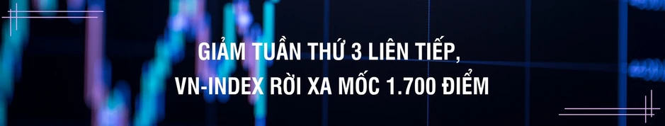Thị trường chứng khoán tuần mới: Tháng 3 khó lặp lại đà tăng, xu hướng phụ thuộc dòng tiền bắt đáy Thị trường chứng khoán tuần mới: Tháng 3 khó lặp lại đà tăng, xu hướng phụ thuộc dòng tiền bắt đáy