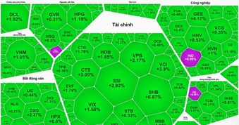 Thi trường chứng khoán Việt Nam ngược dòng thế giới