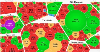 Thị trường nghiêng về sắc đỏ, PNJ nối dài chuỗi tăng trần
