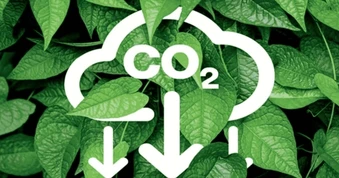 Thông tin mới về sàn giao dịch carbon của Việt Nam