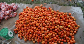 Thứ trưởng Tài chính nêu giải pháp kiểm soát lạm phát, đảm bảo tăng trưởng