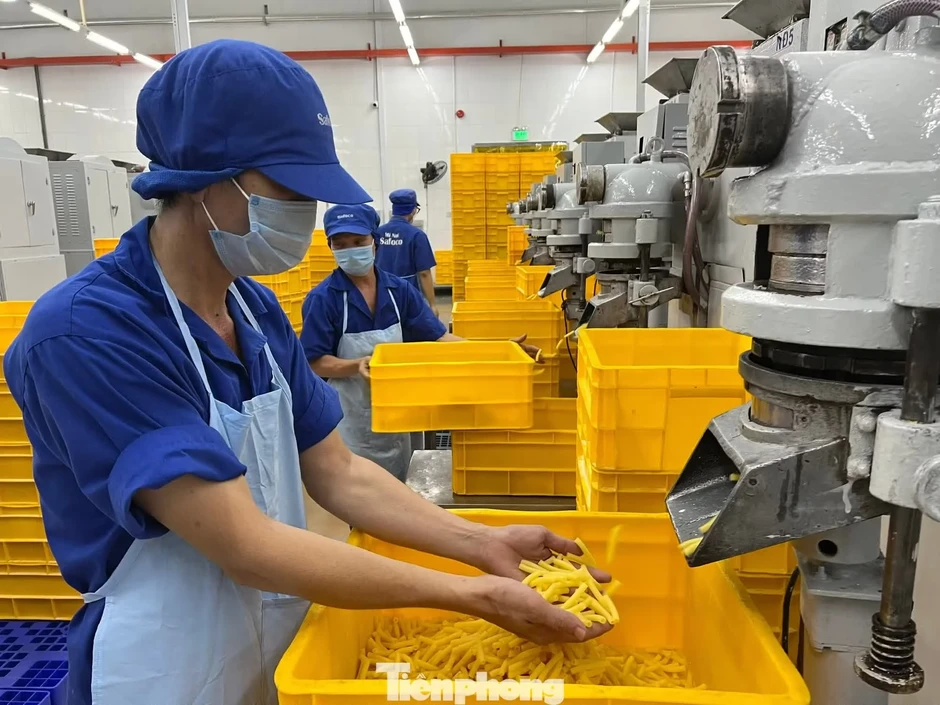 Tiền gửi ngân hàng tăng kỷ lục, nguồn vốn khổng lồ đang chảy về đâu? Tiền gửi ngân hàng tăng kỷ lục, nguồn vốn khổng lồ đang chảy về đâu?