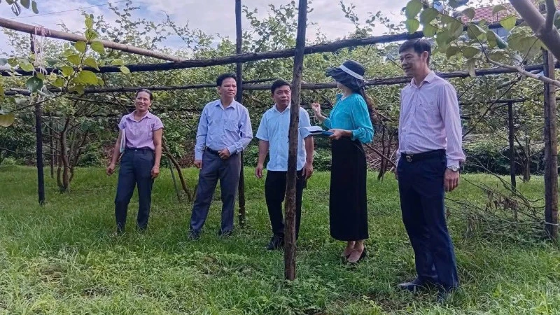 Tín dụng chính sách gần dân, sát dân phục vụ nhân dân tốt hơn Tín dụng chính sách gần dân, sát dân phục vụ nhân dân tốt hơn