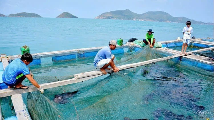 Tín dụng chính sách phát huy tiềm năng kinh tế biển