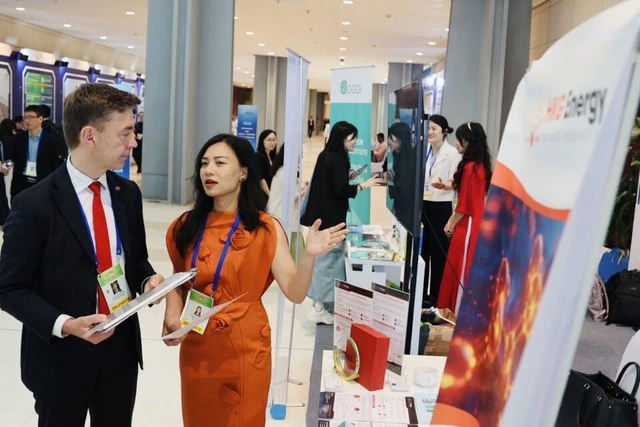 Từng quản lý 2 tỷ USD tại VinFast, nữ doanh nhân Việt sang Mỹ làm pin sạc siêu nhanh, được Harvard lựa chọn