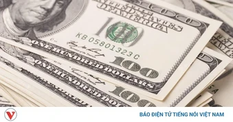 Tỷ giá USD hôm nay 1/6: Giá bán USD tự do tăng lên mức 26.450 đồng/USD