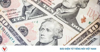 Tỷ giá USD hôm nay 12/3: Tỷ giá trung tâm nâng lên mốc 25.061 đồng/USD
