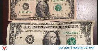 Tỷ giá USD hôm nay 19/8: Tỷ giá trung tâm tăng lên mốc 25.598 đồng/USD