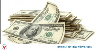 Tỷ giá USD hôm nay 26/6: Tỷ giá trung tâm hạ xuống còn 25.195 đồng/USD