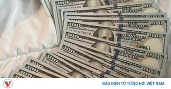 Tỷ giá USD hôm nay 4/6: Tỷ giá trung tâm giữ nguyên mức 25.145 đồng/USD