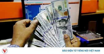 Tỷ giá USD hôm nay 7/3: Giá USD bán ra tạm dừng tại mốc 26.307 đồng/USD