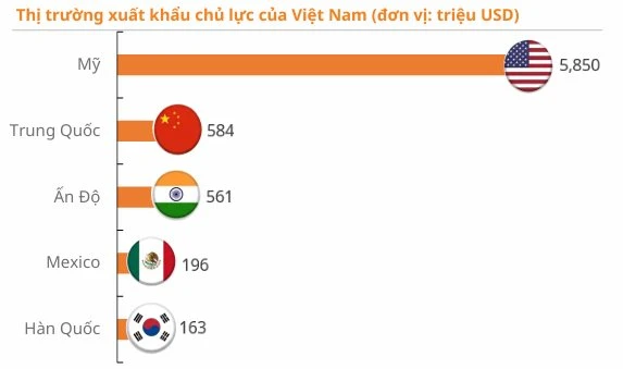 Việt Nam nắm giữ 'báu vật' lớn thứ 2 thế giới: Cách FPT, Viettel 'chia bài' cùng Qualcomm, Marvell, Siemens... Việt Nam nắm giữ 'báu vật' lớn thứ 2 thế giới: Cách FPT, Viettel 'chia bài' cùng Qualcomm, Marvell, Siemens...