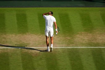 Alcaraz không dự Wimbledon 2026