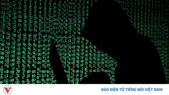 90% người Mỹ trưởng thành từng là mục tiêu của lừa đảo hoặc tấn công mạng