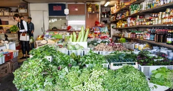 Ấm tình đồng hương nơi đất khách