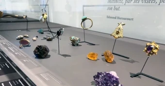 Bảo tàng Pháp bị trộm bảo vật hàng triệu Euro sau vụ đánh cắp kho báu Louvre