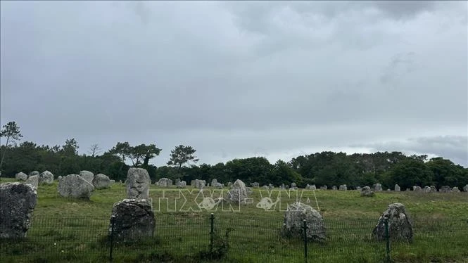 Bí ẩn rặng đá đứng Carnac – nơi thời gian hóa thành những hàng quân bất tận Bí ẩn rặng đá đứng Carnac – nơi thời gian hóa thành những hàng quân bất tận
