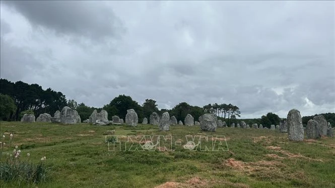 Bí ẩn rặng đá đứng Carnac – nơi thời gian hóa thành những hàng quân bất tận Bí ẩn rặng đá đứng Carnac – nơi thời gian hóa thành những hàng quân bất tận