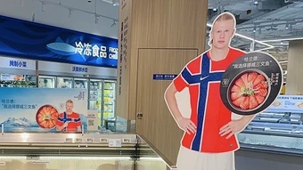 Cá hồi Na Uy đắt hàng ở Trung Quốc giữa cơn sốt Haaland - Báo TinVina