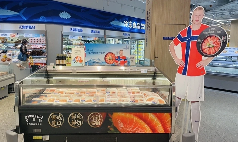 Cá hồi Na Uy đắt hàng ở Trung Quốc giữa cơn sốt Haaland - Báo TinVina