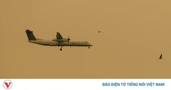 Chuyến bay bị hủy vì một đứa trẻ không chịu thắt dây an toàn