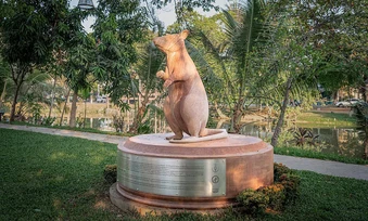 Dò tìm hơn 100 quả mìn, chuột 'anh hùng' được dựng tượng ở Campuchia