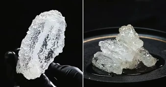 Gà rán 'trong suốt' như thuỷ tinh gây sốt mạng xã hội