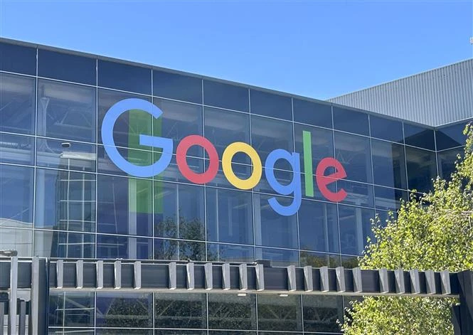 Google xin thả 32 triệu con muỗi tại Mỹ, chuyện gì đang xảy ra?