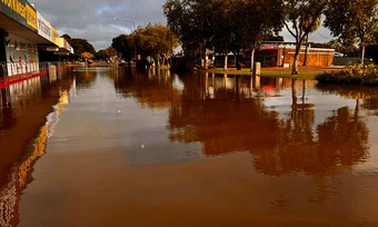 Lãnh thổ Bắc Australia cảnh báo 'cá sấu ở khắp nơi' trong lũ lụt