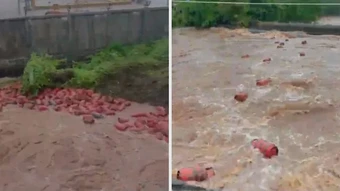 Lũ cuốn 3.000 bình gas trôi nổi trên sông ở Ấn Độ