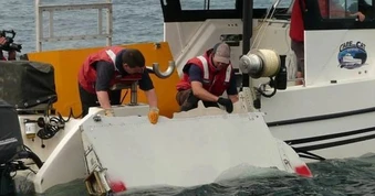 Malaysia gia hạn chiến dịch tìm kiếm máy bay mất tích MH370