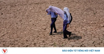 Miền Bắc Ấn Độ chật vật đối phó với nắng nóng kỷ lục
