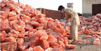 Một loại muối từ Himalaya được cả thế giới săn đón - xem cách khai thác mà nhiều người không tin vào mắt mình