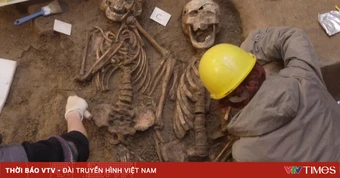 Nghiên cứu ADN cổ hé lộ bí mật mới về tiến hóa của loài người trong 10.000 năm qua