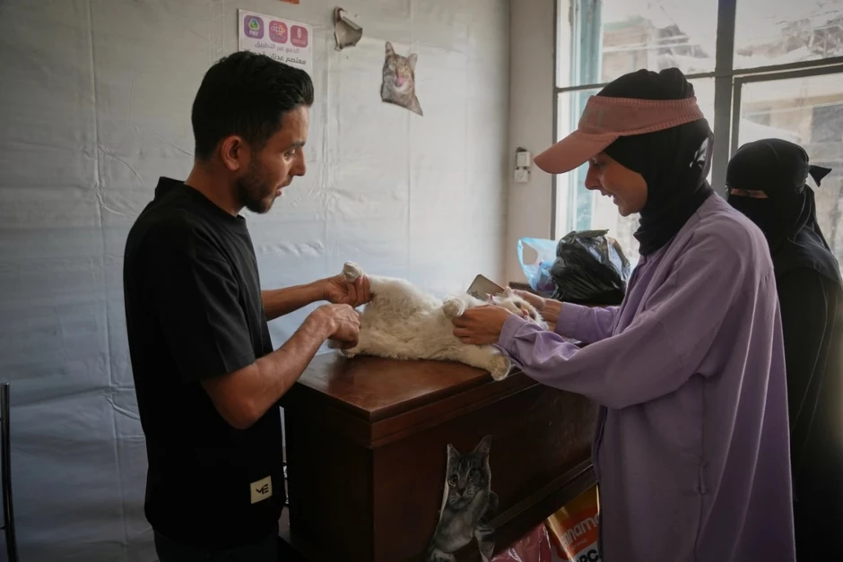 Nơi hiếm hoi chữa bệnh cho thú cưng giữa làn bom đạn Gaza