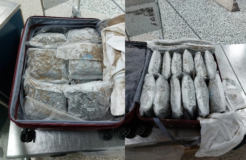 Nữ KOL 23 tuổi bị bắt vì buôn chất cấm, phát hiện 17 kg tang vật trong vali Nữ KOL 23 tuổi bị bắt vì buôn chất cấm, phát hiện 17 kg tang vật trong vali