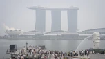 Singapore cảnh cáo 7 công ty Indonesia vì khói cháy rừng