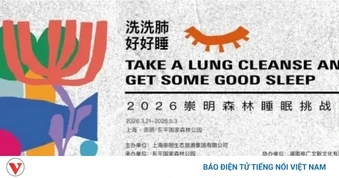Thượng Hải (Trung Quốc) tổ chức “thi ngủ”, giải thưởng cao nhất gần 40 triệu