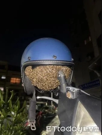 Treo mũ bảo hiểm qua đêm, người phụ nữ "lạnh sống lưng" khi phát hiện thứ đang động đậy bên trong Treo mũ bảo hiểm qua đêm, người phụ nữ "lạnh sống lưng" khi phát hiện thứ đang động đậy bên trong