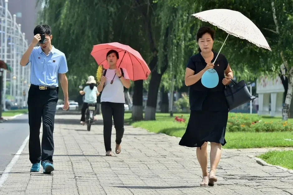 Triều Tiên khuyên người dân ăn canh thịt chó, gà hầm sâm đối phó nắng nóng Triều Tiên khuyên người dân ăn canh thịt chó, gà hầm sâm đối phó nắng nóng