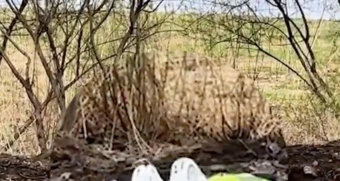 VIDEO: Đến robot cũng 'tử vong' vì... thuốc trừ sâu