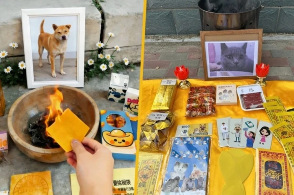 Xu hướng đốt tiền âm phủ, bò Wagyu giấy cho thú cưng tại Trung Quốc Xu hướng đốt tiền âm phủ, bò Wagyu giấy cho thú cưng tại Trung Quốc